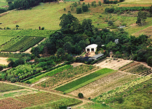 viveiro rosario